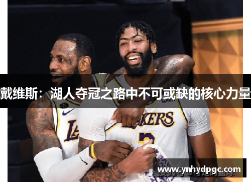 戴维斯：湖人夺冠之路中不可或缺的核心力量