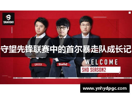 守望先锋联赛中的首尔暴走队成长记