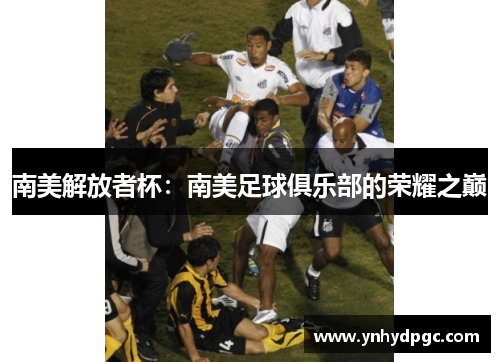 南美解放者杯：南美足球俱乐部的荣耀之巅
