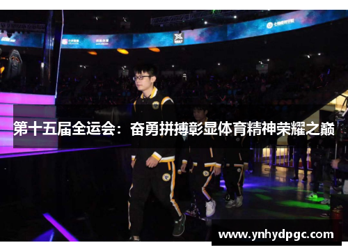 第十五届全运会：奋勇拼搏彰显体育精神荣耀之巅