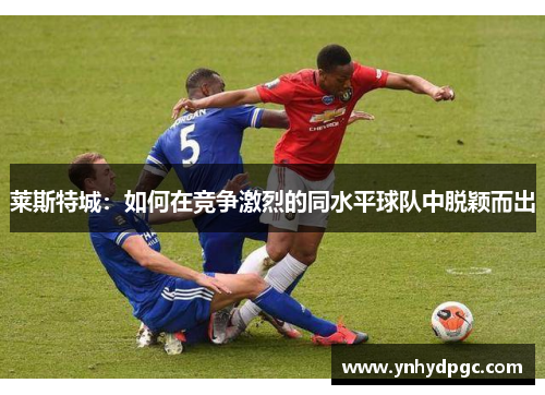 莱斯特城：如何在竞争激烈的同水平球队中脱颖而出